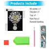 Girl Bouquet Special Shaped 5D DIY Partial Drill Diamond Painting Kits for Adults Beginners Home Decor Diamonds Dots Gem Art 7.87x9.84inch