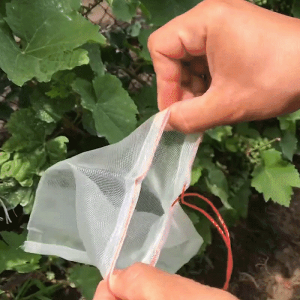 Plant Protection Bags