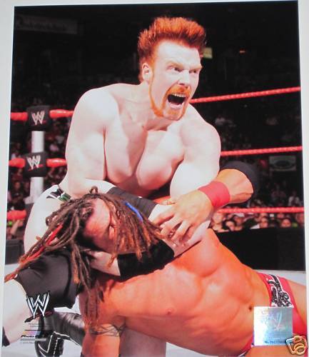 WWE SHEAMUS OFFICIAL LICENSED 8X10 WRESTLING Photo Poster paintingFILE Photo Poster painting 1