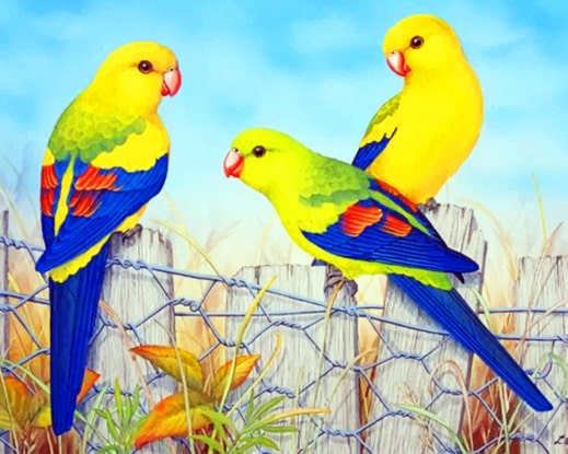 

Aesthetic Parrots – Paint By Numbers - 40*50CM, 501 Original