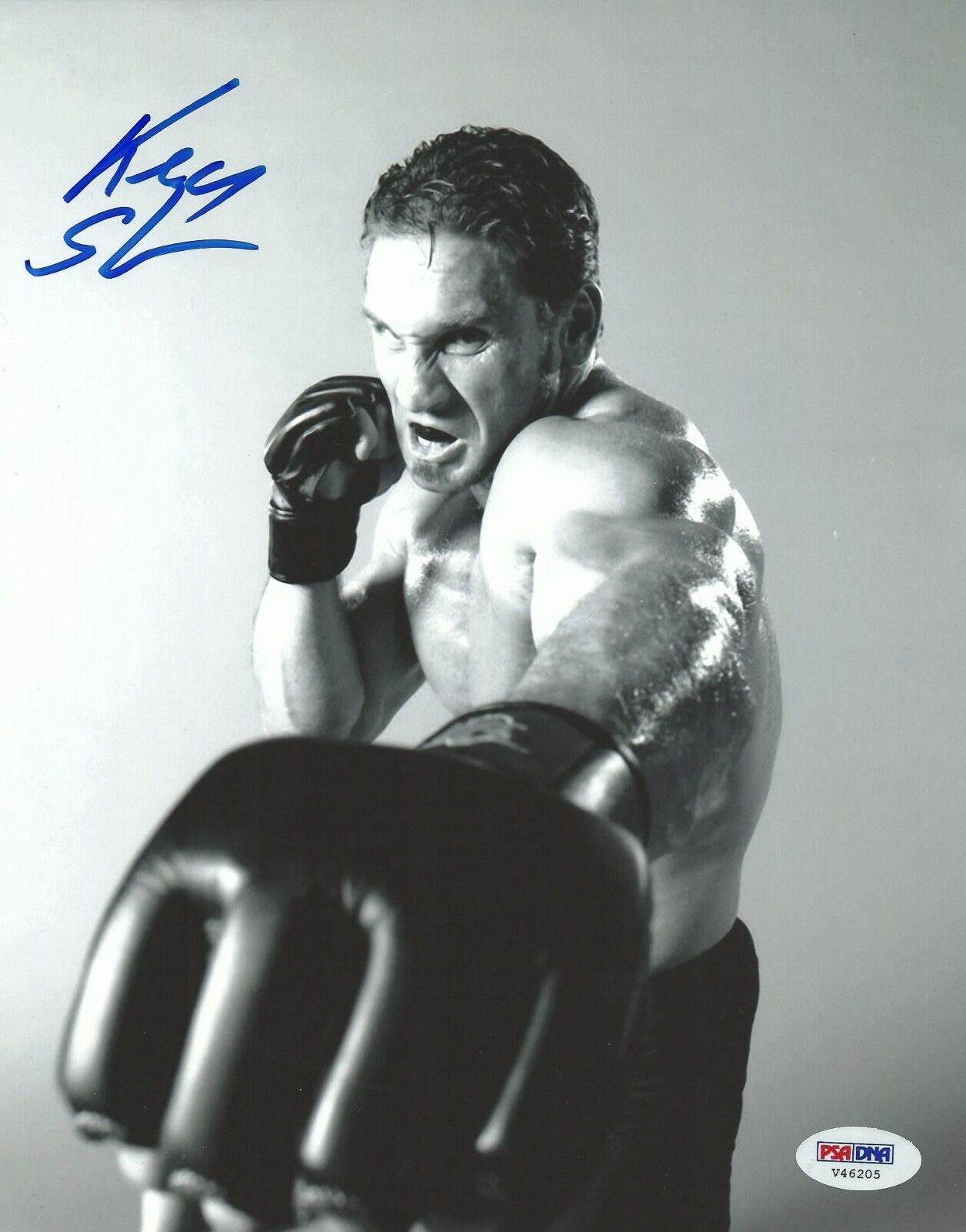 Ken Shamrock Signed UFC WWE 8x10 Photo Poster painting PSA/DNA COA Picture Auto'd Pancrase Pride