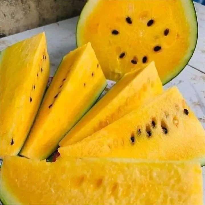 Yellow flesh watermelon