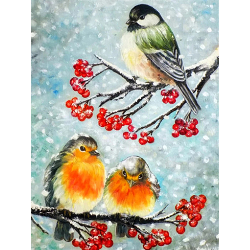 

Snowy Bird - Round Drill Diamond Painting - 30*40CM, 501 Original