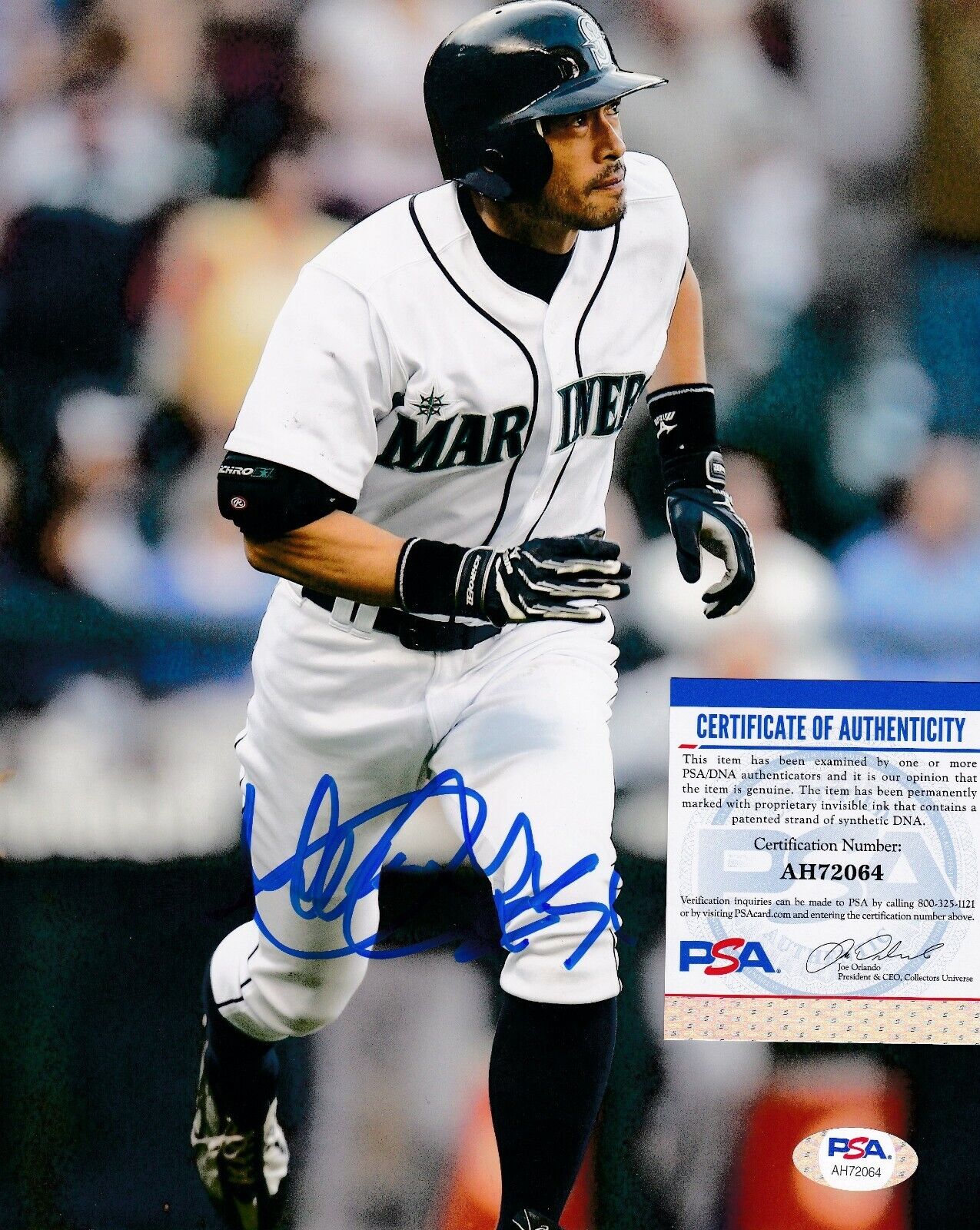 ICHIRO SUZUKI SEATTLE MARINERS PSA/DNA AUTHENTICATED ACTION SIGNED 8x10