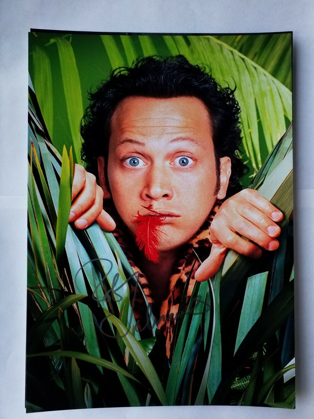 Rob Schneider Autographed Authentic Signed 11 3/4 × 8 1/4 Photo Poster painting. SNL