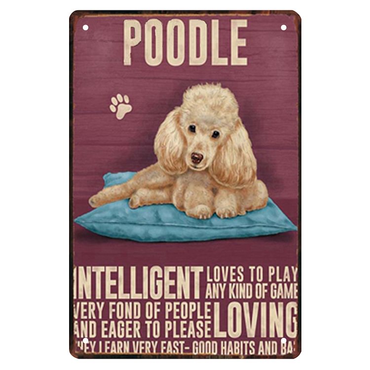 Poodle Intelligent Loving - Vintage Tin Signs/Wooden Signs - 7.9x11.8in & 11.8x15.7in