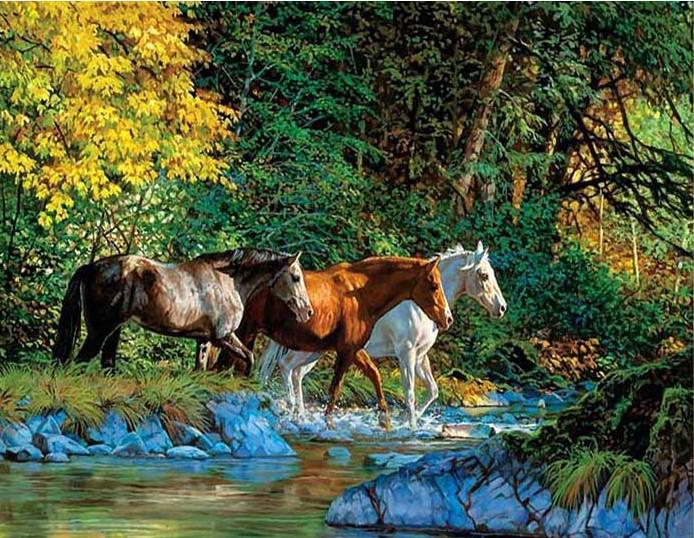 

Group of Horses Cross the river – Paint By Numbers - 40*50CM, 501 Original
