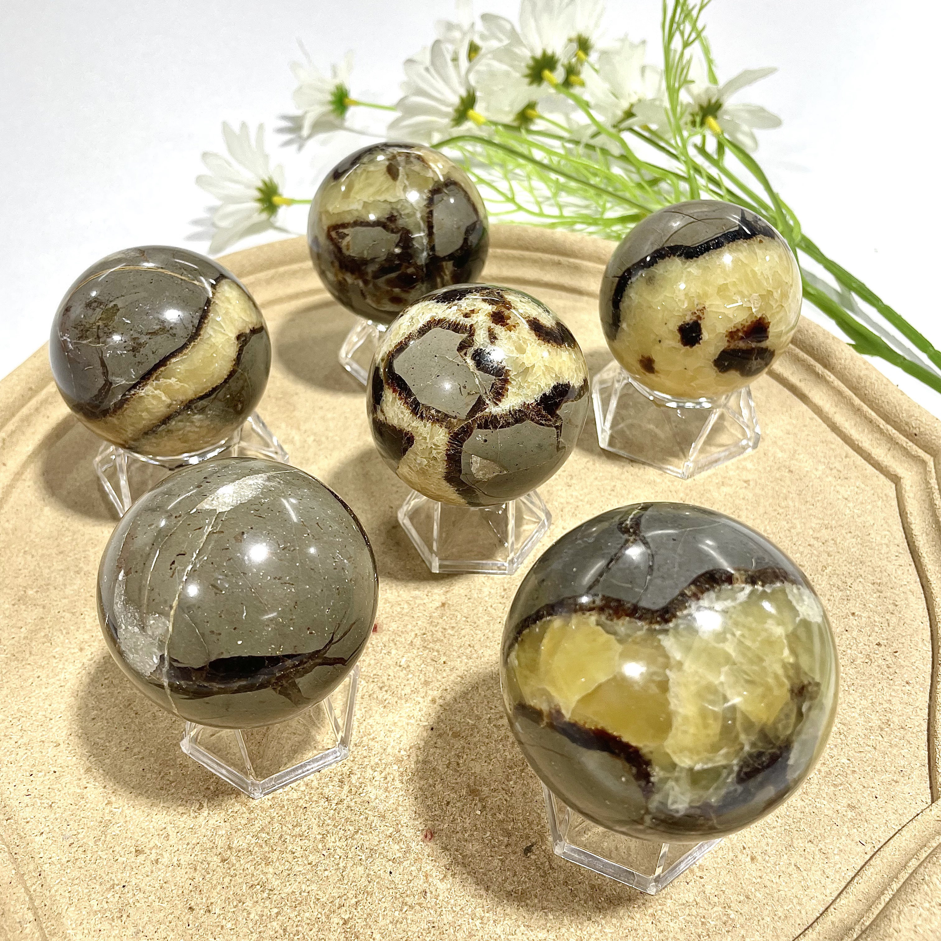 Septarian Sphere 1pcs