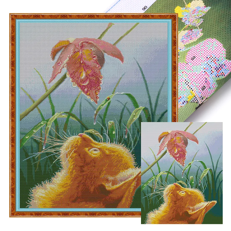 【Joy Sunday Brand】Gazing cat 44*56cm 14CT Stamped Canvas Cross Stitch gbfke