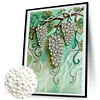 Diamond Painting-DIY Special Shaped Drill Pearl Painting Grapes(35x45cm)