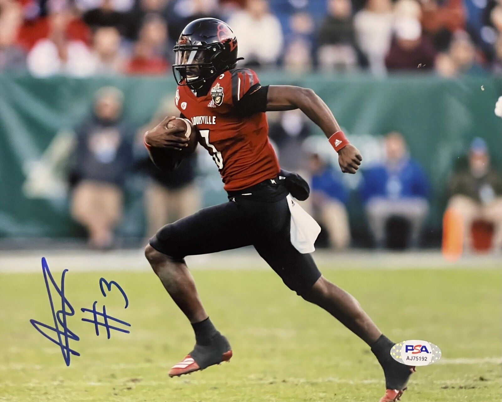 Malik Cunningham Signed Autographed Louisville Cardinals 8x10 Photo Poster painting PSA/DNA