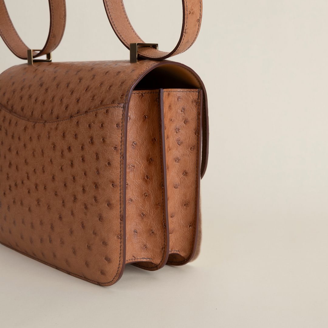 Constance 24CM Ostrich 35 Cognac GHW