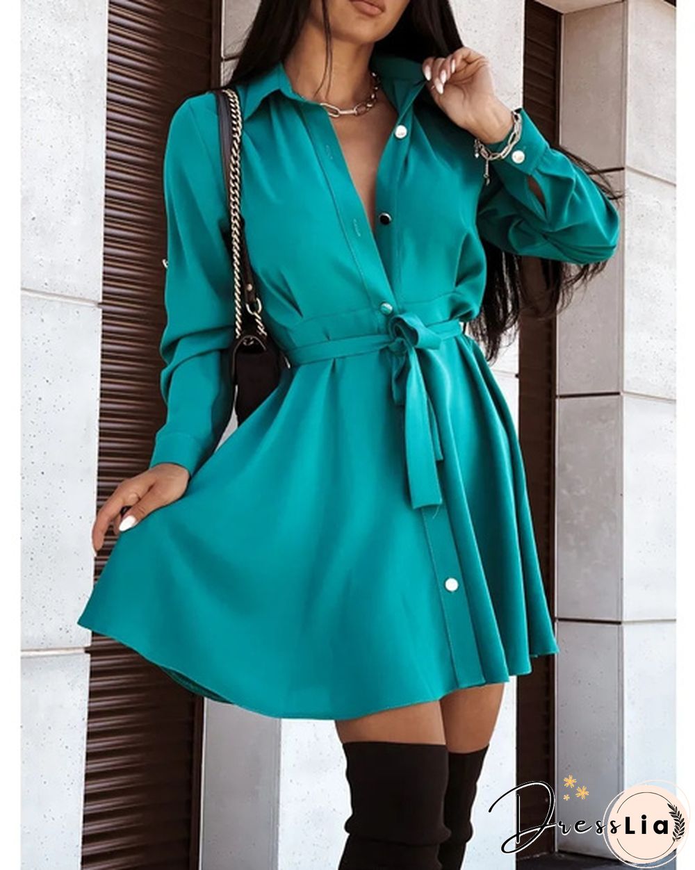 Turn-down Collar Long Sleeves Buttons Shirt Dress Women Fashion Collect Waist A Line Dress Elegant Ladies Dresses