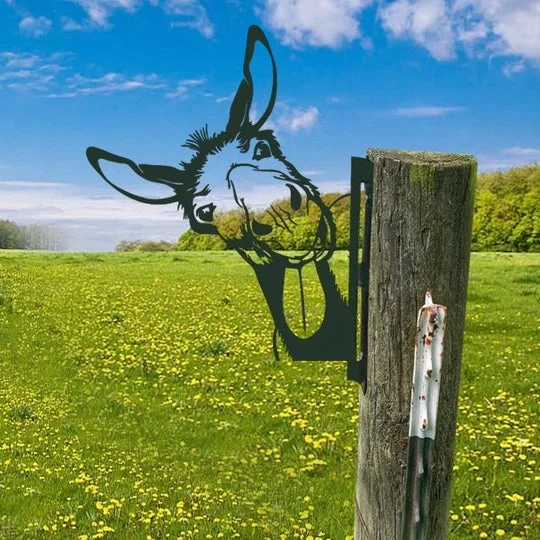 Cute donkey The art of metal voyeur