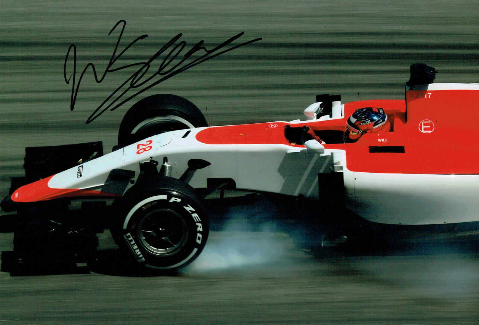 Will STEVENS SIGNED 12x8 Photo Poster painting Autograph Manor Marussia Driver F1 AFTAL COA