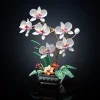 The Phalaenopsis Potted Plant