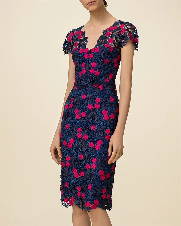 Women's V-neck Flower Embroidery Mini Dress
