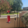 Hummingbird Feeder - Leak-proof seal