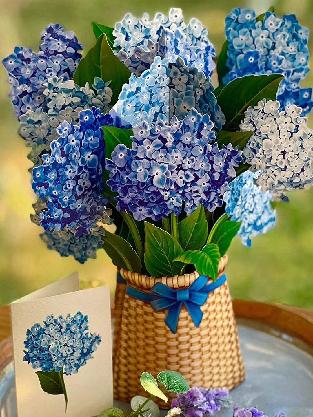Nantucket Hydrangeas