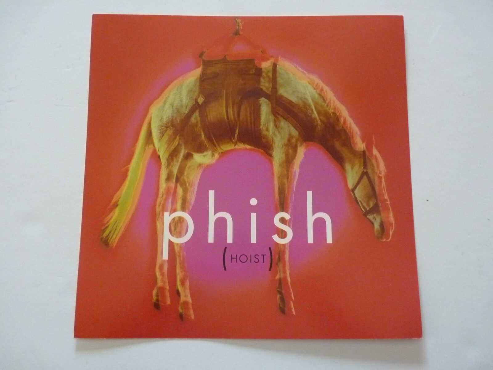 Phish (Hoist) LP Record Photo Poster painting Flat 12x12 Poster