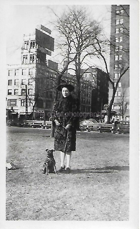 CITY WOMAN Found DOG Photo Poster paintingGRAPH bwOriginal Snapshot VINTAGE 012 2