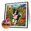 Diamond Painting -5D Full Round Drill Border Collie Puppy(40x40cm)