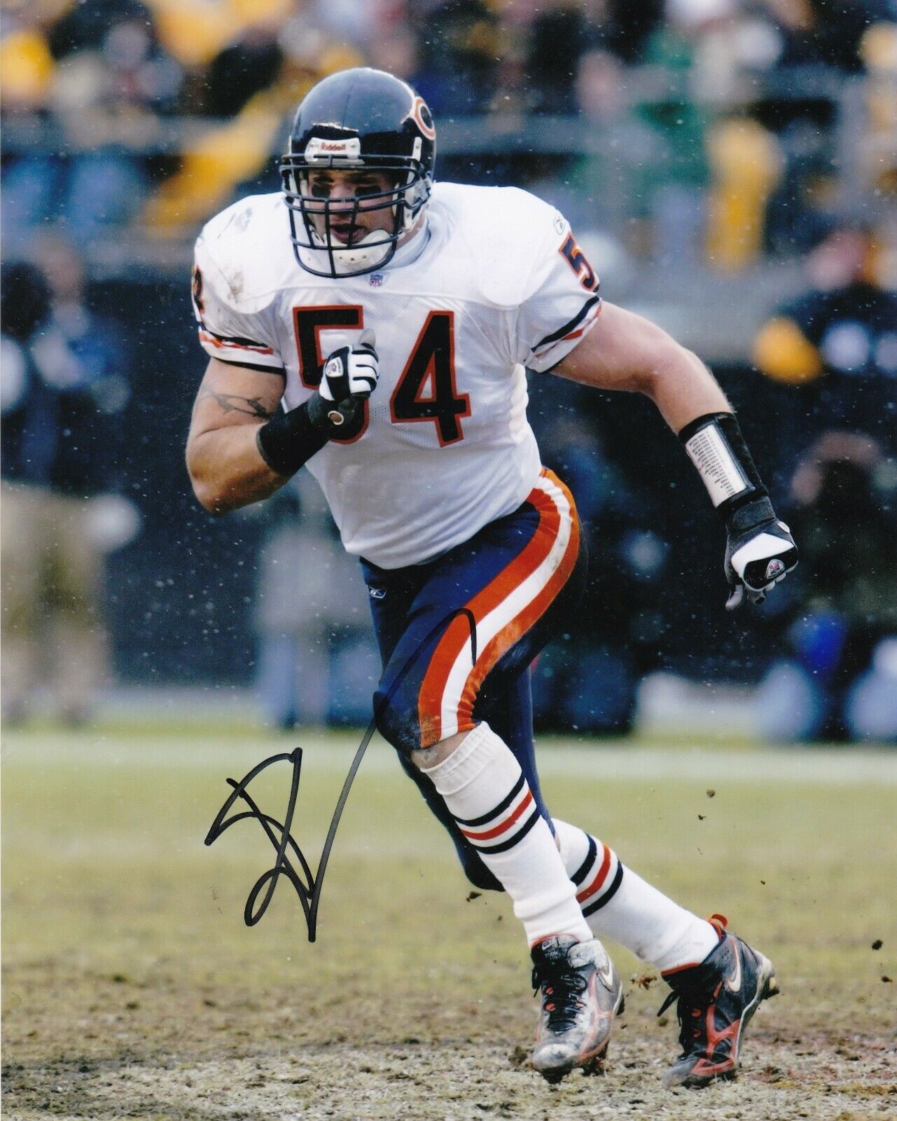 BRIAN URLACHER CHICAGO BEARS ACTION SIGNED 8x10