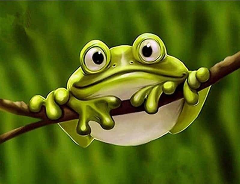 

Frog Picture – Paint By Numbers - 40*50CM, 501 Original
