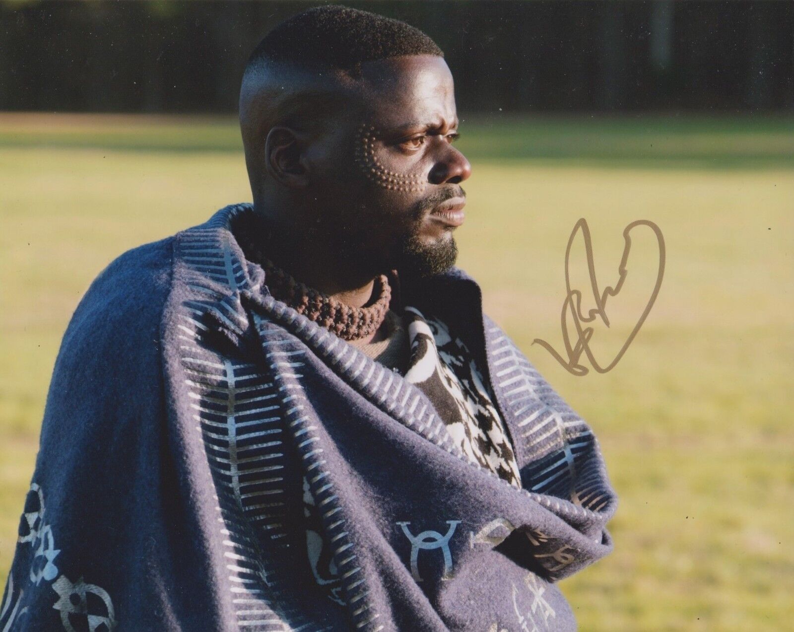 Daniel Kaluuya Signed Black Panther 10x8 Photo Poster painting AFTAL