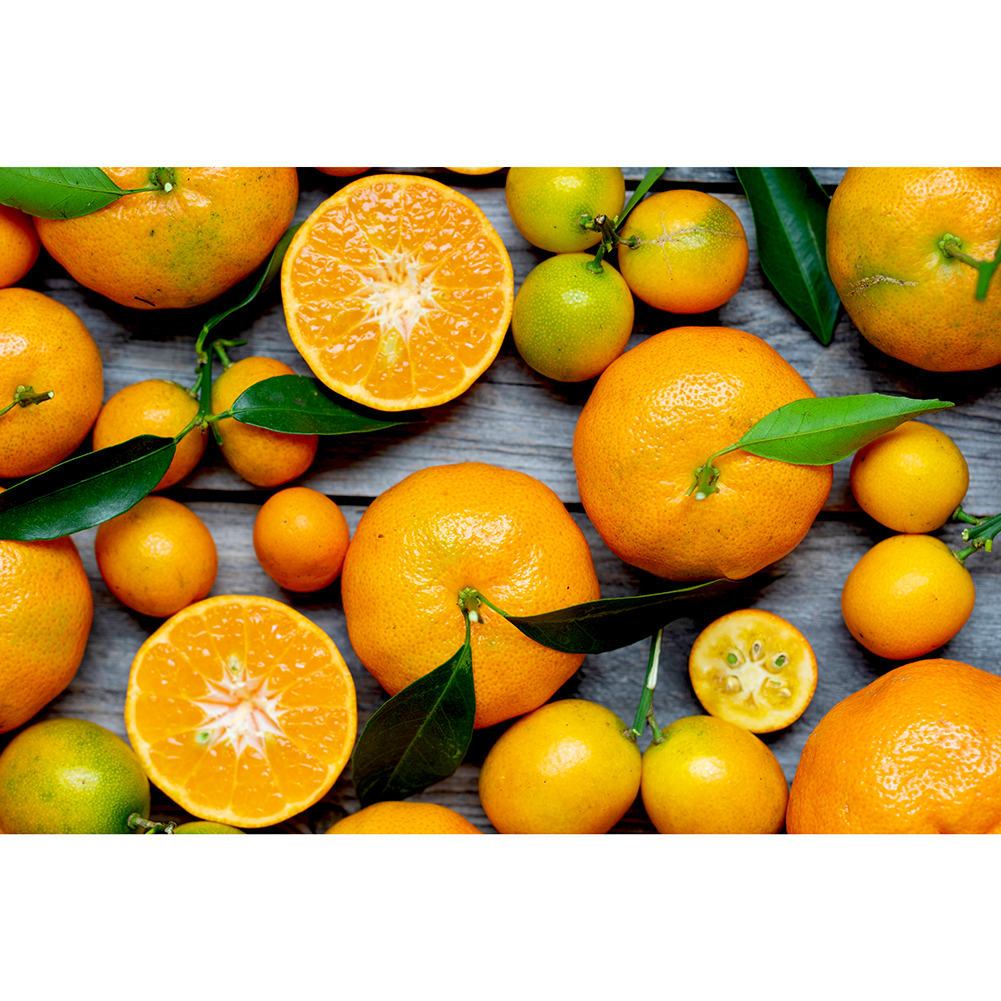 

Orange Fruit - 1000 Pieces Jigsaw Puzzle, 501 Original