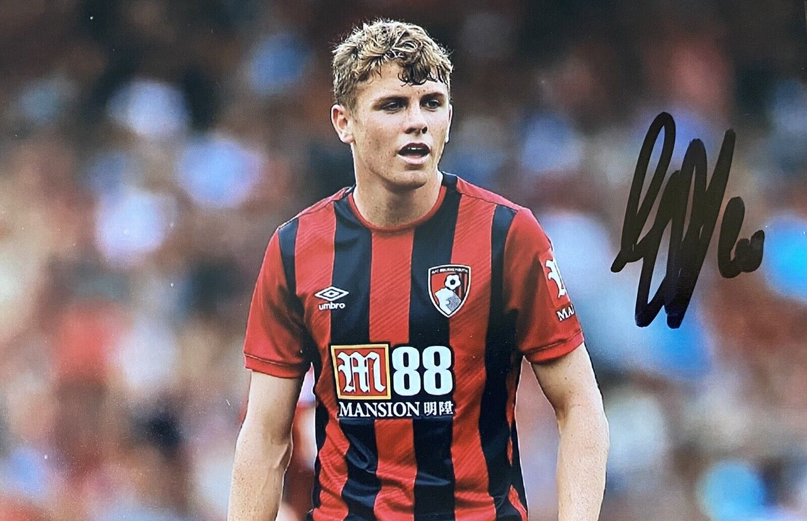 Gavin Kilkenny Genuine Hand Signed AFC Bournemouth 6X4 Photo Poster painting 2