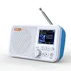 C10 2.4 inch Color LCD Screen Digital Desktop Alarm Clock DAB DAB+ FM Radio