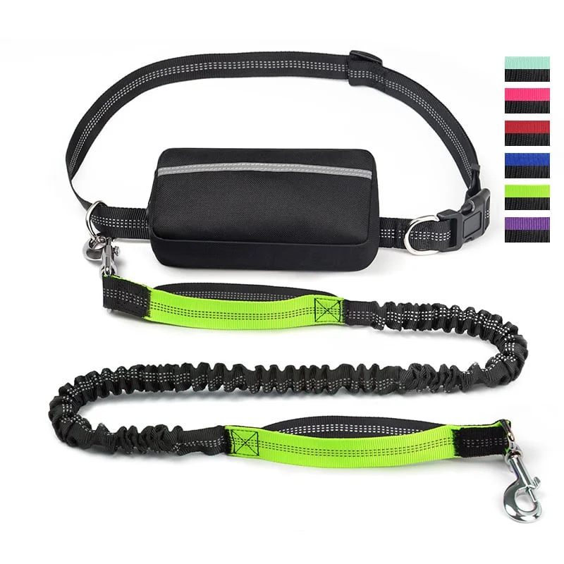 Hands Free Dog Leash