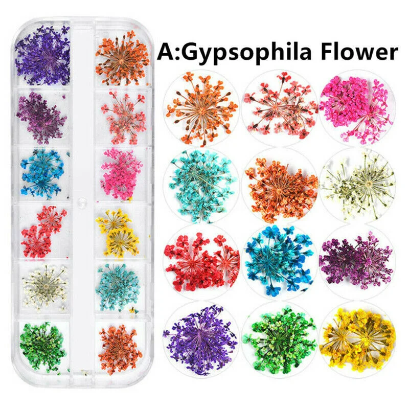 12pcs/lot 3D Nail Art Dried Flowers Acrylic UV Gel Nails Tips Salon Manicure Decoration-Nail Inspo