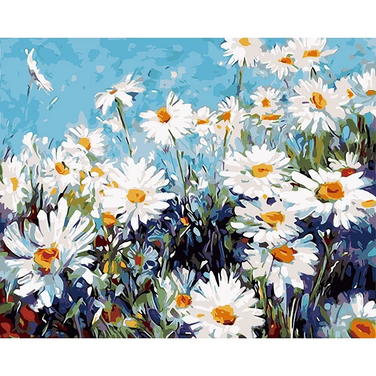 Flower Field - Painting By Numbers - 40x30cm