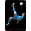 (Multi Style)Football Star - Metal Tin Signs(12*16Inch)