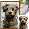 West Highland Terrier-11CT Stamped Cross Stitch 40*60cm tapestrymarket
