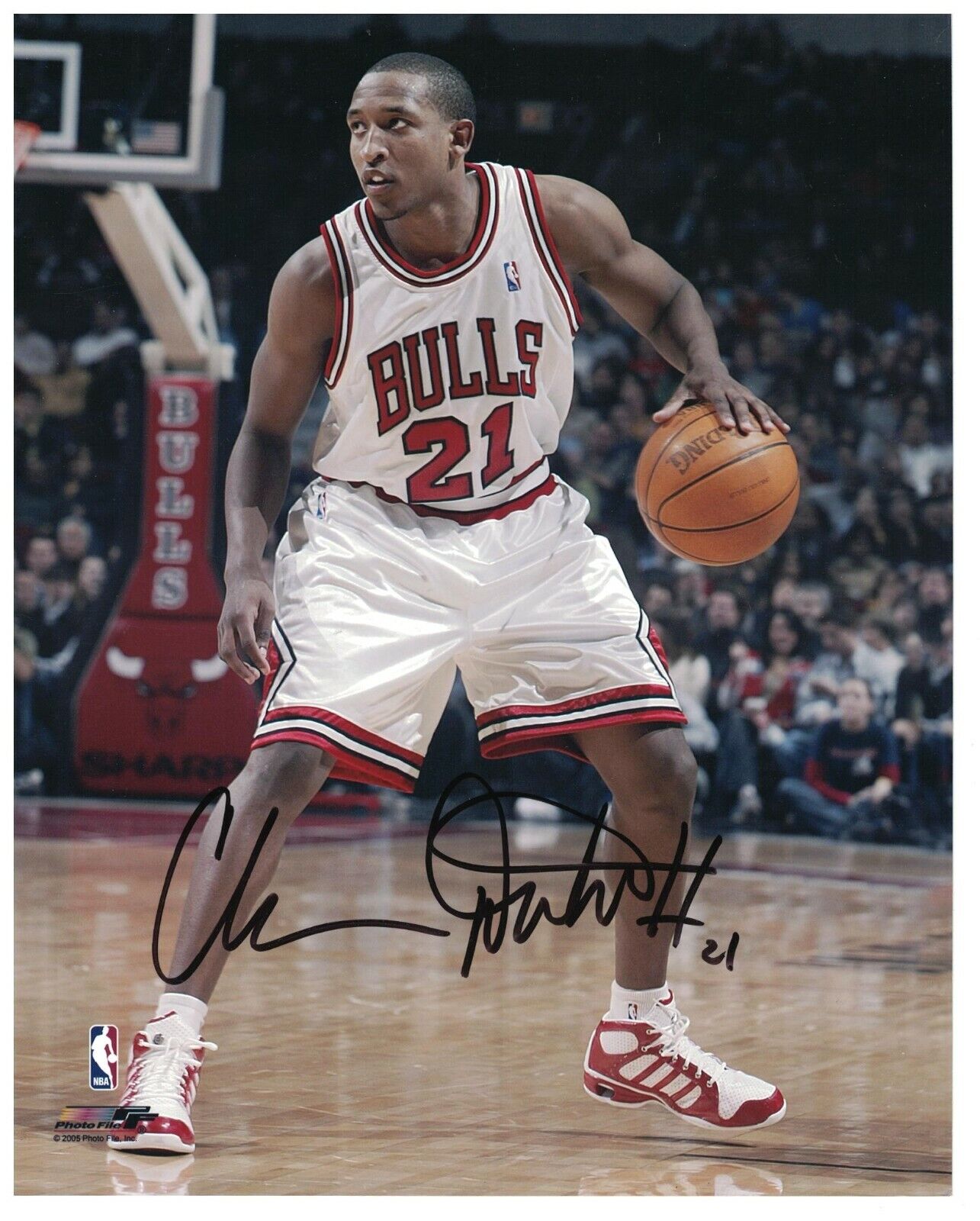 Chris Duhon Signed Autographed 8 x 10 Photo Poster painting Chicago Bulls Duke Basketball