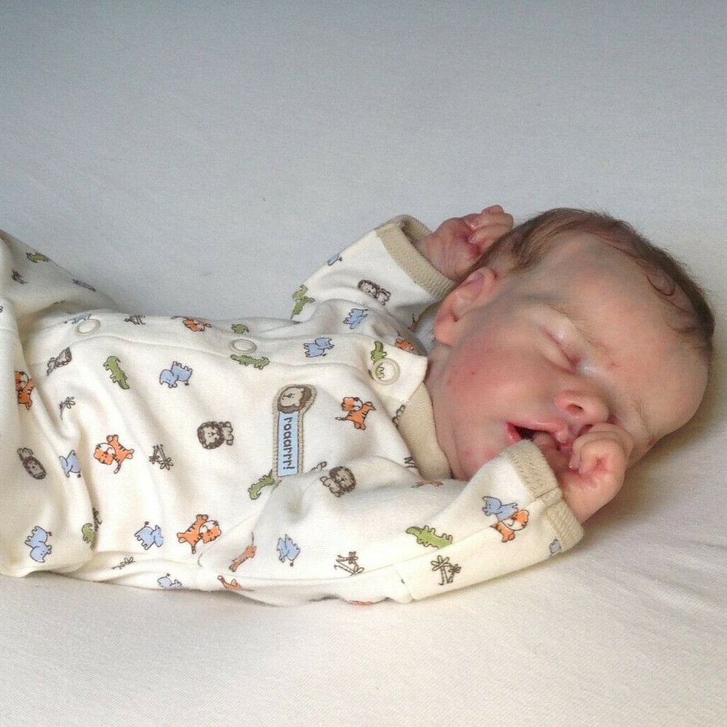 12'' Soft Lifelike Full Body Mini Reborn Baby Doll Named Eve