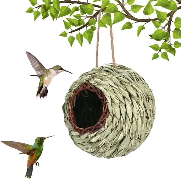 💲ONE DAY 50% OFF-🐦Hummingbird Nest House