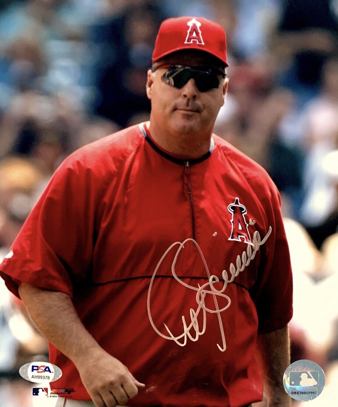 Mike Scioscia Signed L.A. Angels 8x10 Photo Poster painting PSA AH99378