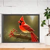 Diamond Painting-DIY Full Round Drill Cardinal