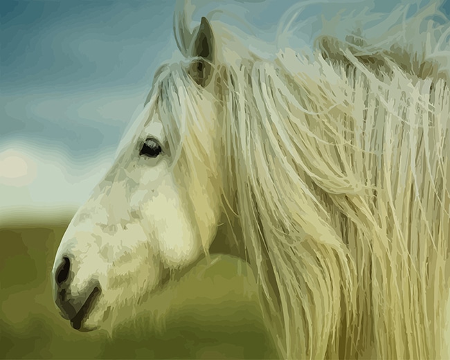 

Stallion Horse – Paint By Numbers - 40*50CM, 501 Original
