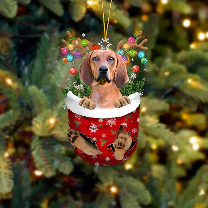 VigorDaily Redbone Coonhound In Snow Pocket Christmas Ornament SP154