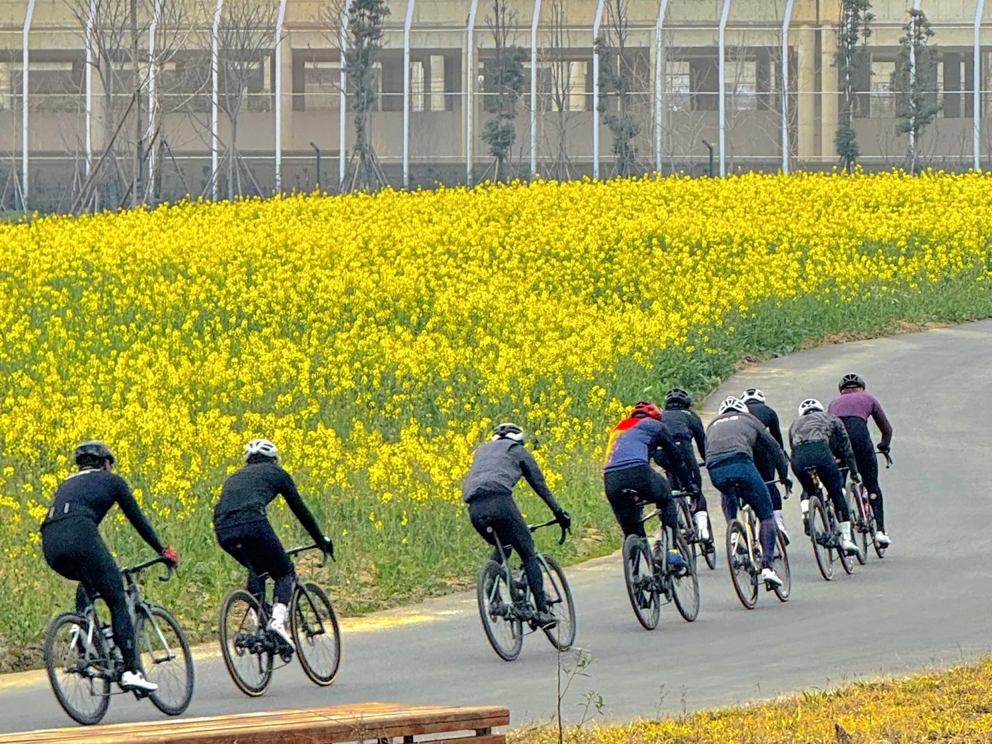  Chengdu 1-Day Cycling Tour: Scenic Greenway Ride from Jincheng Lake to Dong’an Lake