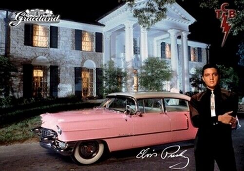 ELVIS PRESLEY POSTER - GRACELAND - Photo Poster painting POSTER INSERT -  POSTAGE!