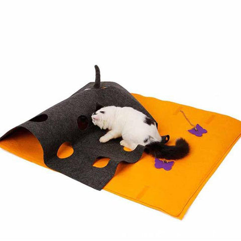 Cat scratching a blanket
