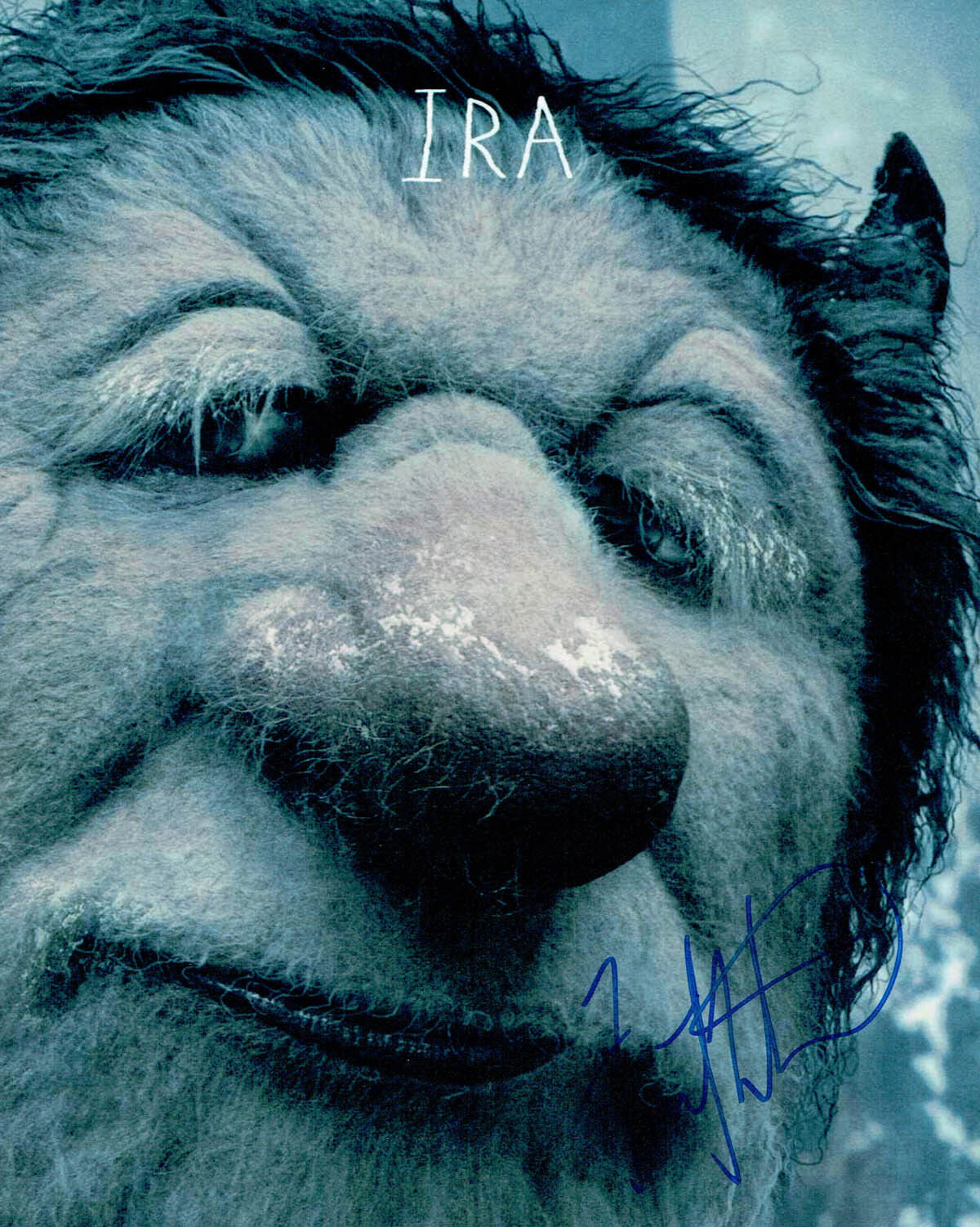 Forest WHITAKER SIGNED Autograph Photo Poster painting AFTAL COA IRA Where the wild things are