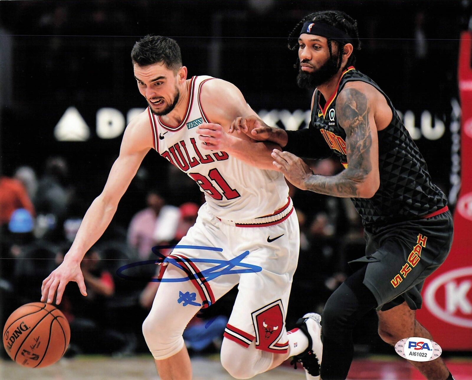 Tomas Satoransky signed 8x10 Photo Poster painting PSA/DNA Chicago Bulls Autographed