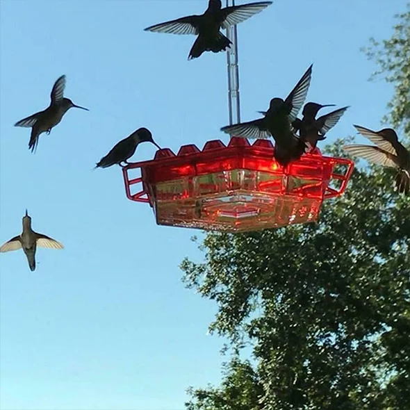 Mary's Hummingbird Feeder With Perch And Built-In Ant Moat